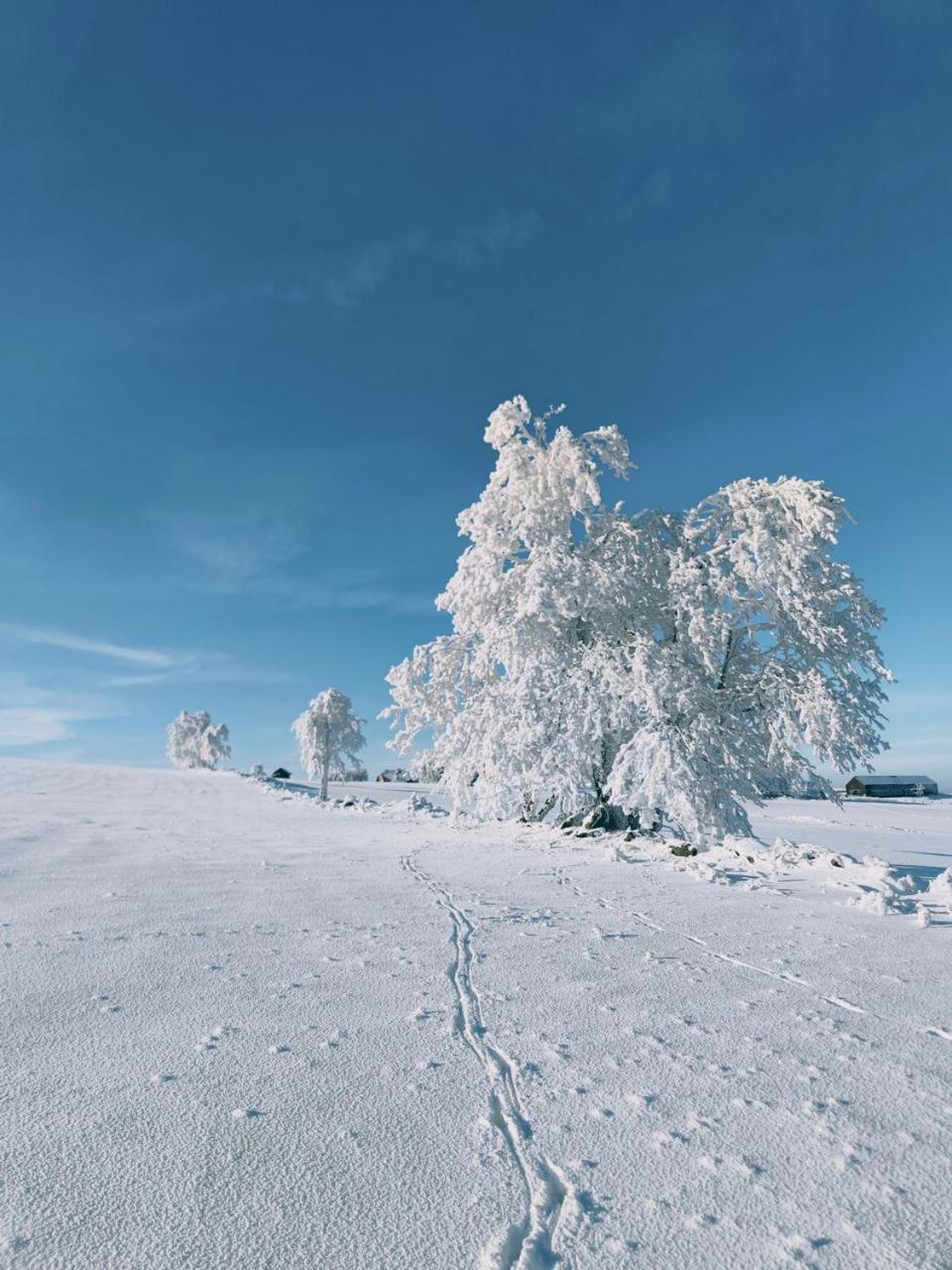 Na Malem Haji, Domek S Finskou Saunou Hora Svate Kateriny Exteriér fotografie